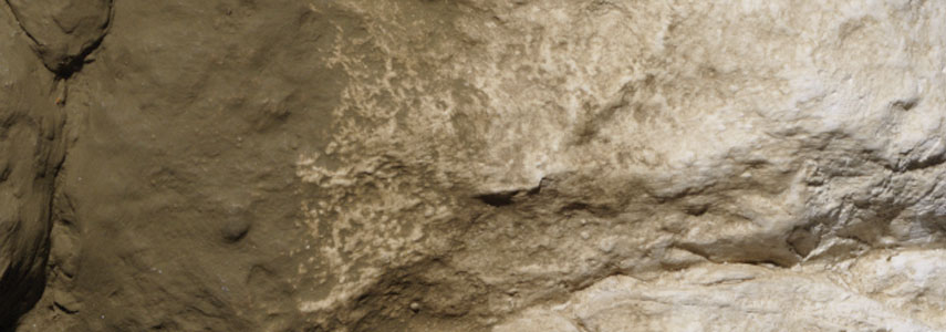 Woodland Scenics C1229 Landschaftsbaufarbe brauner Untergrund Earth Undercoat