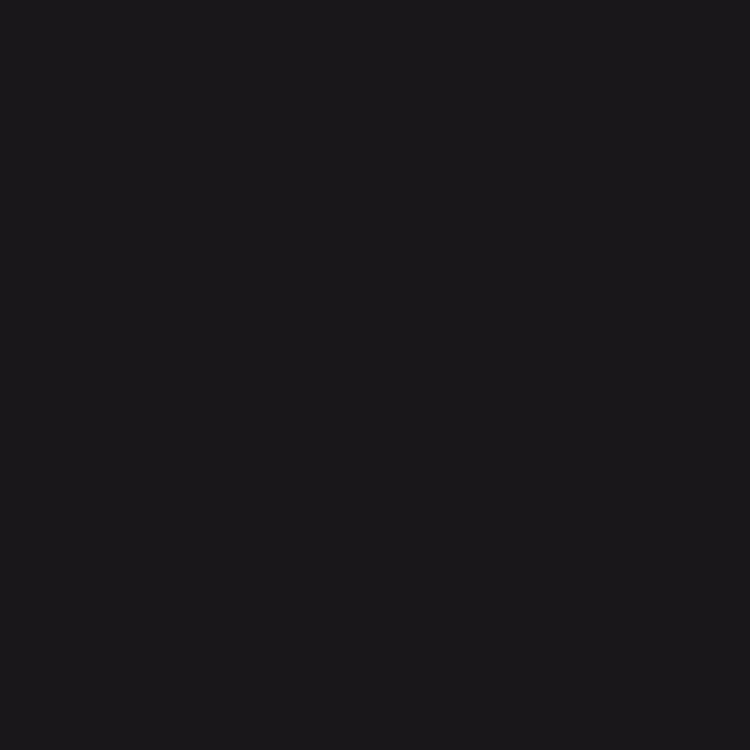 Faller 776518 Wash Color schwarz