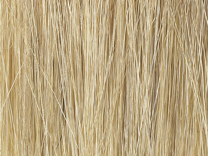 NOCH Schilfgras-Sortiment 