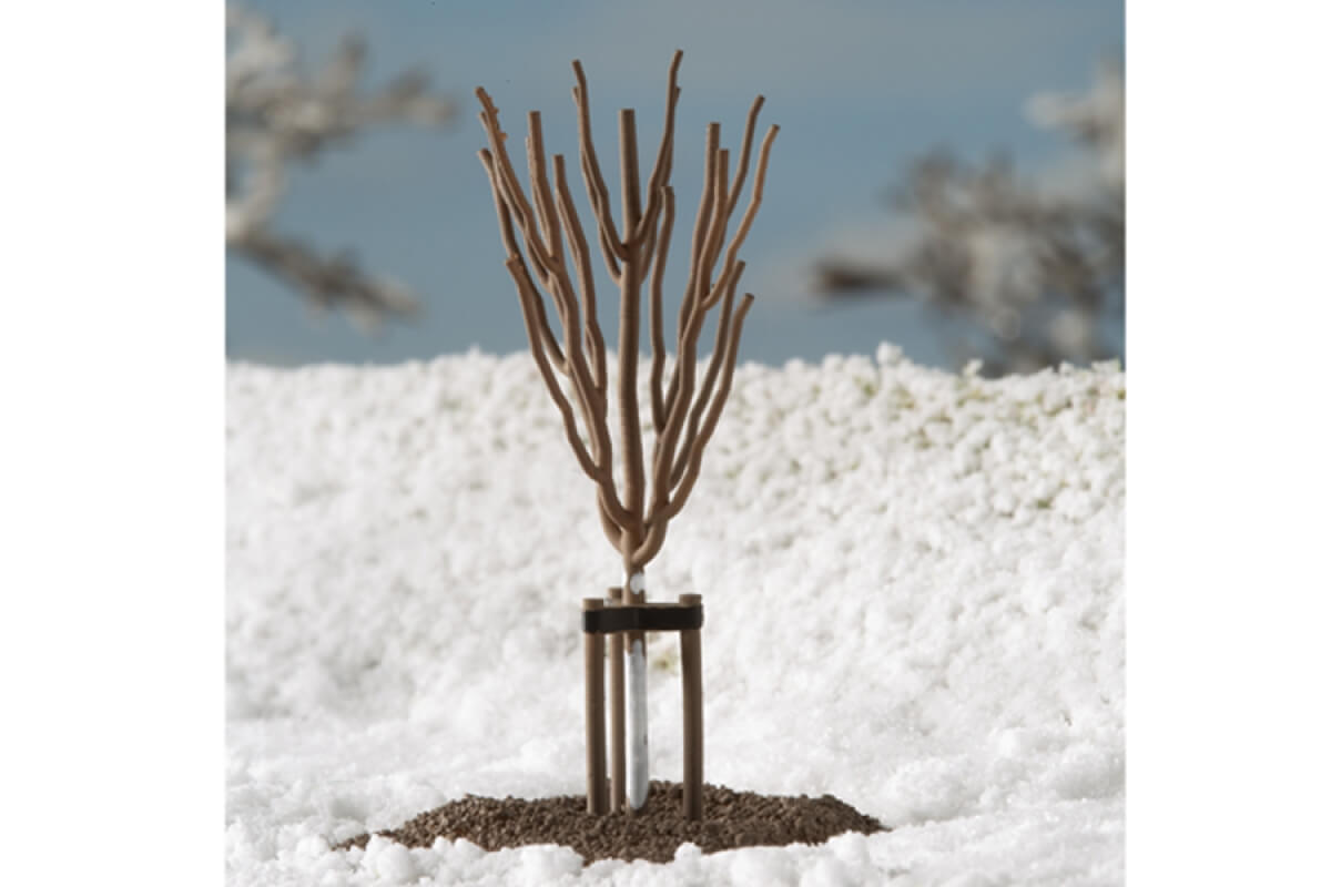 Auhagen 70951 H0 N TT Junge Bäume Winter