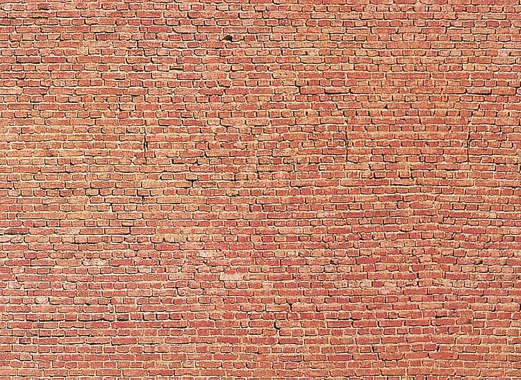 FALLER 222559 Spur N Mauerplatte Tunnel