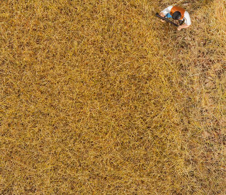 Faller 170775 PREMIUM Streufasern Heu 6 mm 30 g