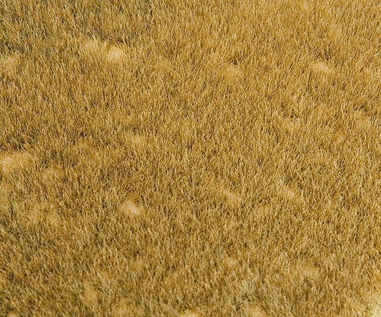 Faller 180465 PREMIUM Landschafts-Segment, Wildgraswiese