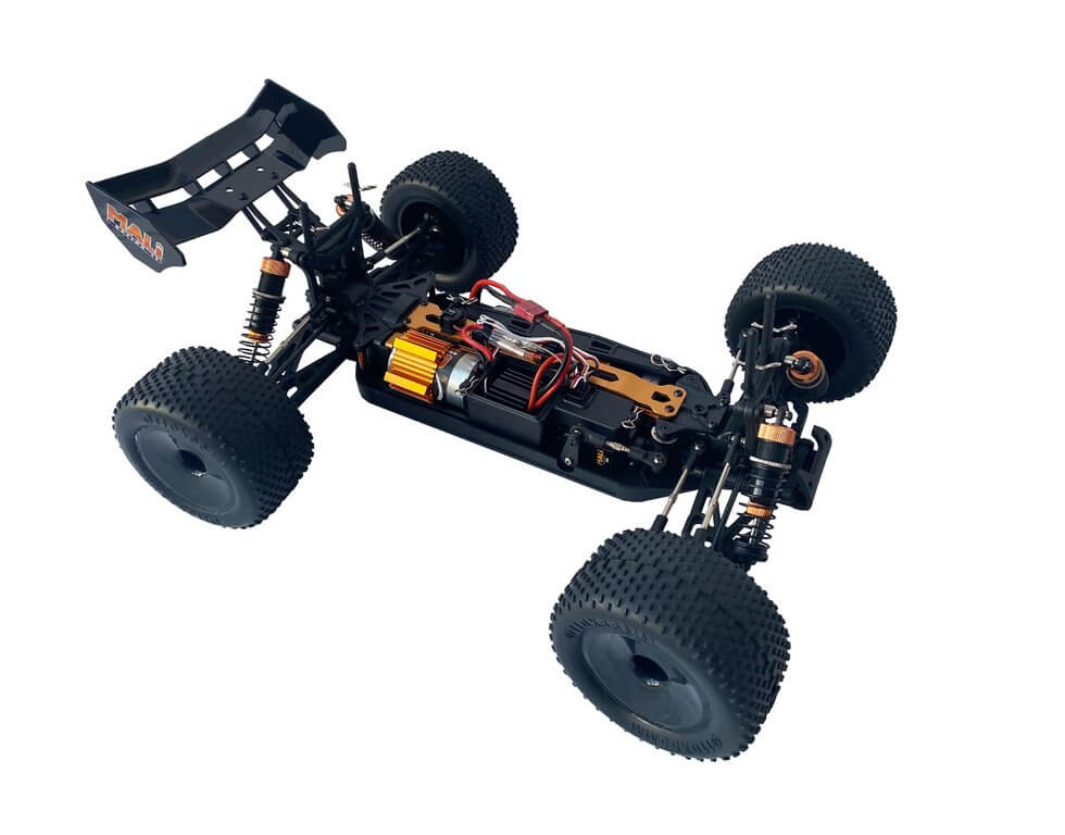 drive & fly Models 3156 DesertTruggy 5 brushed RTR